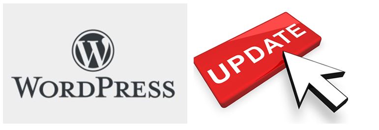 WordPress Update